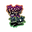 FRESH OUT THE BOX WEBSTORE logo